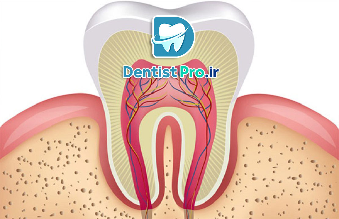 درمان پالپ دندان شیری: راهنمای جامع حفظ سلامت دندان‌های کودکان