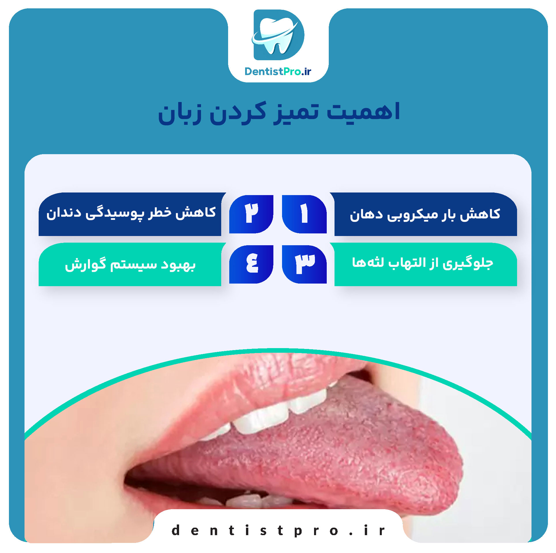 رابطه زبان با سلامت دهان و دندان 28 رابطه زبان با سلامت دهان و دندان