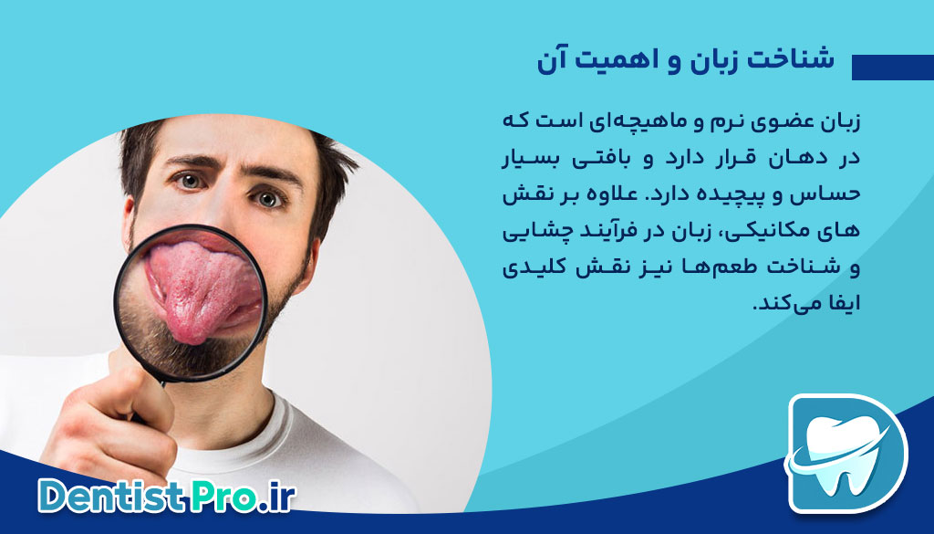 صفر تا صد بیماری های زبان+ موارد بسیار مهم در مورد زبان 26 صفر تا صد بیماری های زبان+ موارد بسیار مهم در مورد زبان